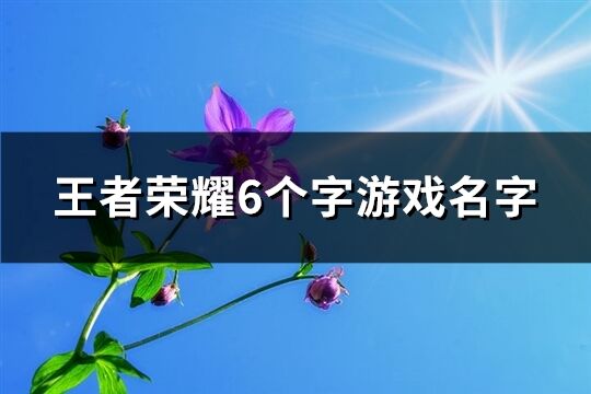 王者荣耀6个字游戏名字(1143个)