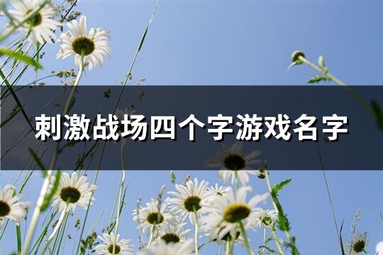 刺激战场四个字游戏名字(659个)