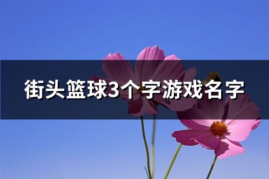 街头篮球3个字游戏名字(共254个)