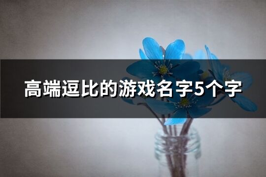 高端逗比的游戏名字5个字(精选282个)