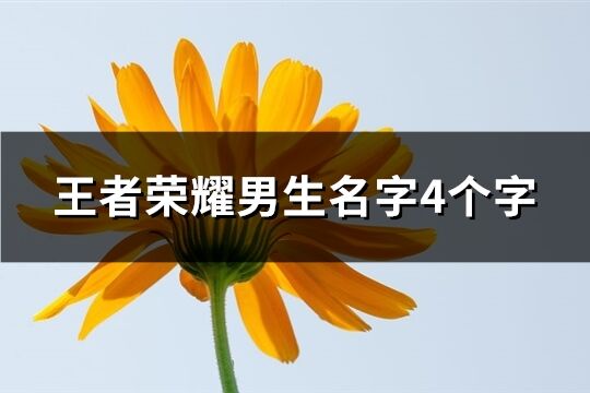 王者荣耀男生名字4个字(优选355个)