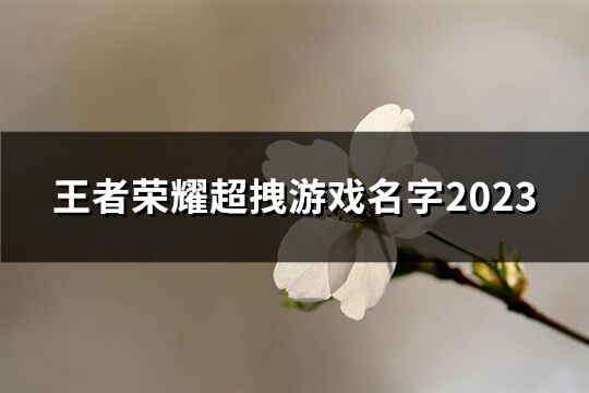 王者荣耀超拽游戏名字2023(优选61个)