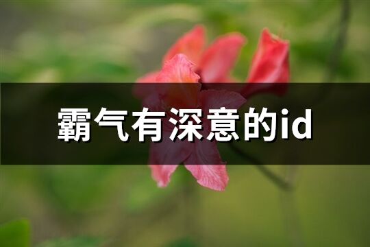 霸气有深意的id(精选64个)