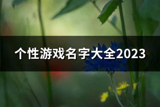 个性游戏名字大全2023(573个)