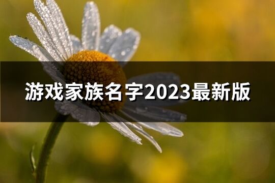 游戏家族名字2023最新版(精选731个)