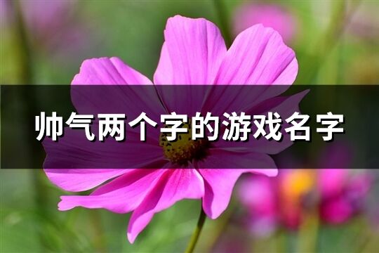 帅气两个字的游戏名字(优选437个)