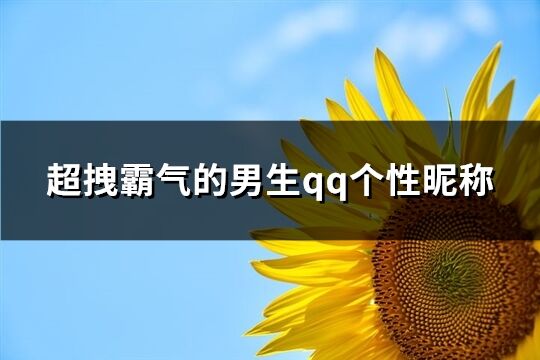 超拽霸气的男生qq个性昵称(共209个)