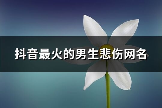 抖音最火的男生悲伤网名(优选349个)