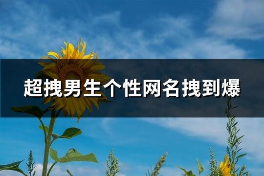 超拽男生个性网名拽到爆(优选320个)