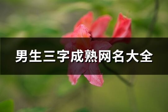 男生三字成熟网名大全(优选823个)