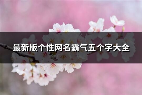 最新版个性网名霸气五个字大全(共716个)