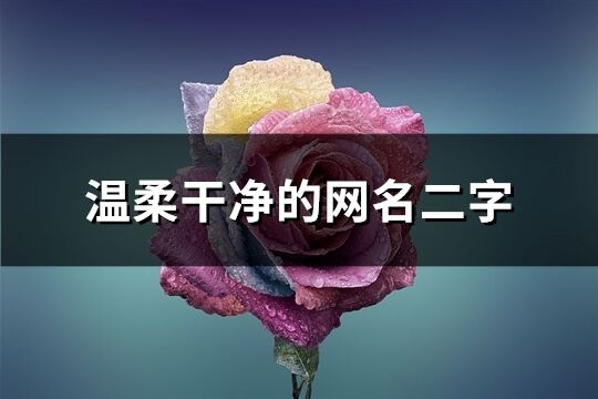 温柔干净的网名二字(优选1113个)