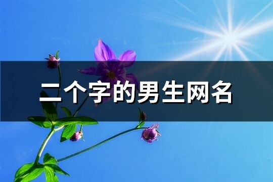 二个字的男生网名(共1540个)