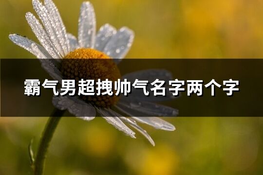 霸气男超拽帅气名字两个字(精选630个)