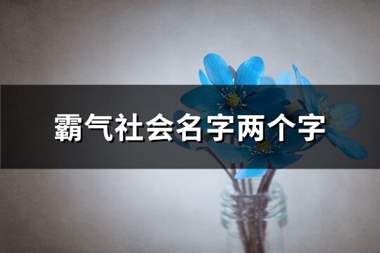 霸气社会名字两个字(225个)