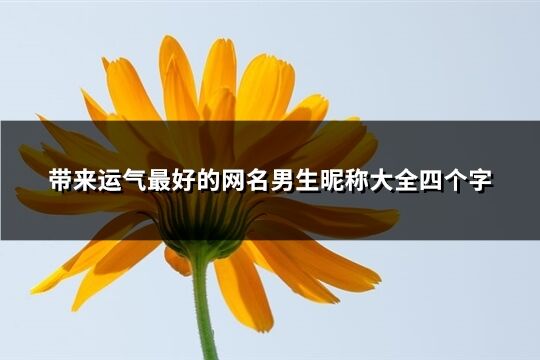 带来运气最好的网名男生昵称大全四个字(优选583个)