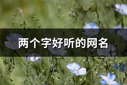 两个字好听的网名(共896个)