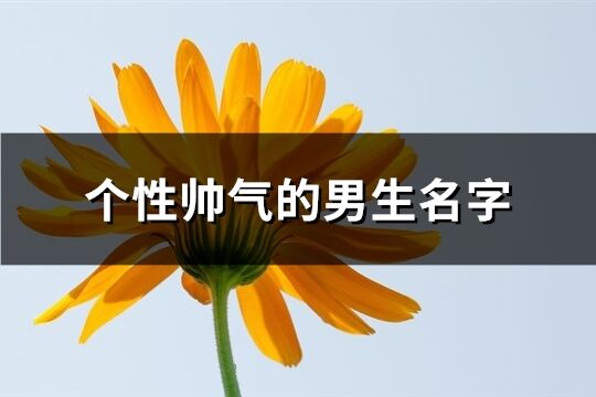 个性帅气的男生名字(176个)