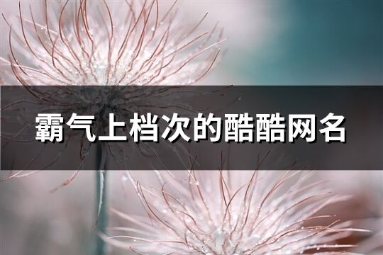 霸气上档次的酷酷网名(共530个)