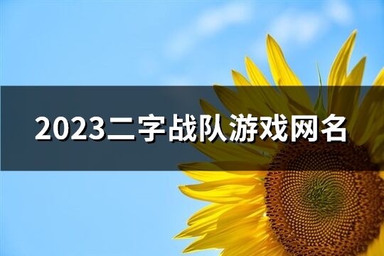 2023二字战队游戏网名(419个)