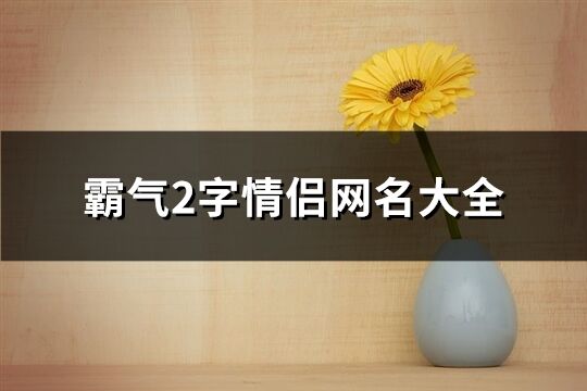 霸气2字情侣网名大全(共222个)