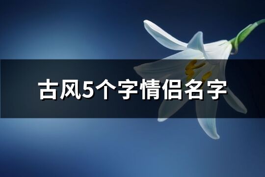 古风5个字情侣名字(共404个)