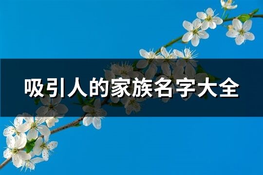 吸引人的家族名字大全(477个)