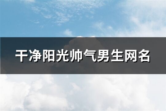 干净阳光帅气男生网名(290个)