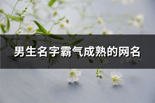 男生名字霸气成熟的网名(精选277个)