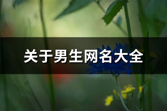 关于男生网名大全(共285个)