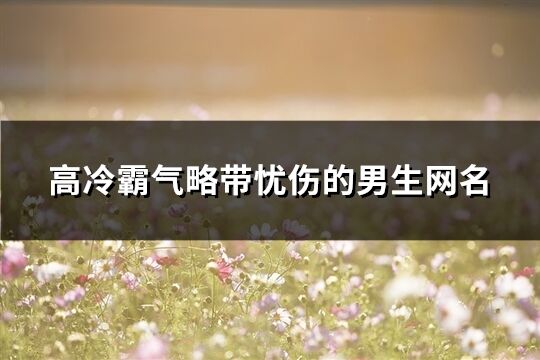 高冷霸气略带忧伤的男生网名(共83个)