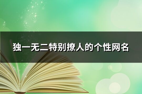 独一无二特别撩人的个性网名(73个)