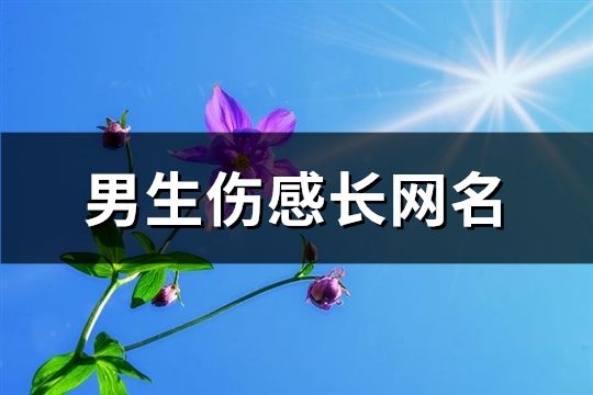 男生伤感长网名(105个)