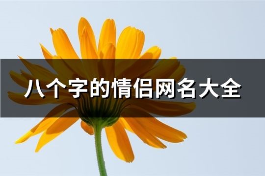 八个字的情侣网名大全(46个)