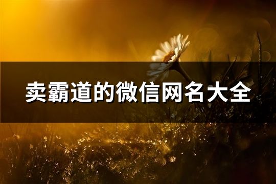 卖霸道的微信网名大全(精选151个)