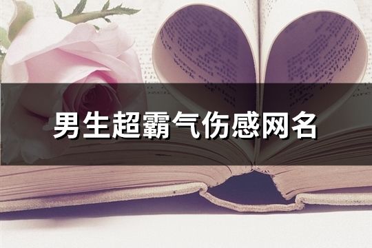 男生超霸气伤感网名(共150个)