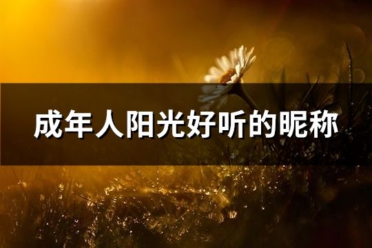 成年人阳光好听的昵称(共166个)