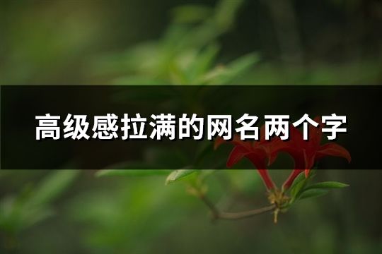 高级感拉满的网名两个字(共76个)