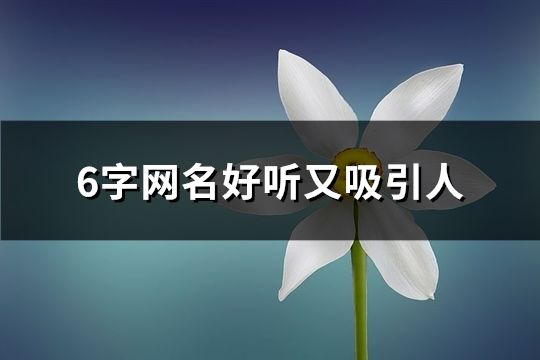 6字网名好听又吸引人(共164个)