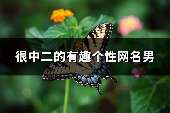 很中二的有趣个性网名男(共116个)