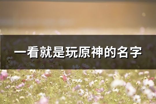 一看就是玩原神的名字(共81个)