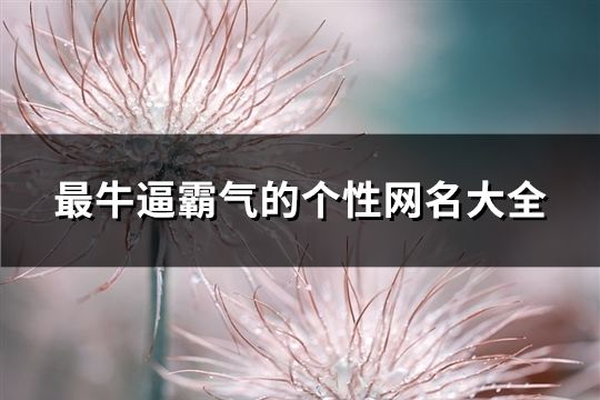 最牛逼霸气的个性网名大全(精选137个)