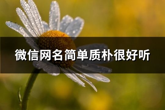 微信网名简单质朴很好听(精选120个)