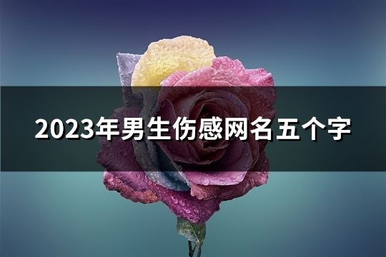 2023年男生伤感网名五个字(精选179个)