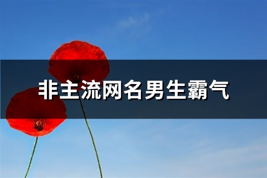 非主流网名男生霸气(196个)