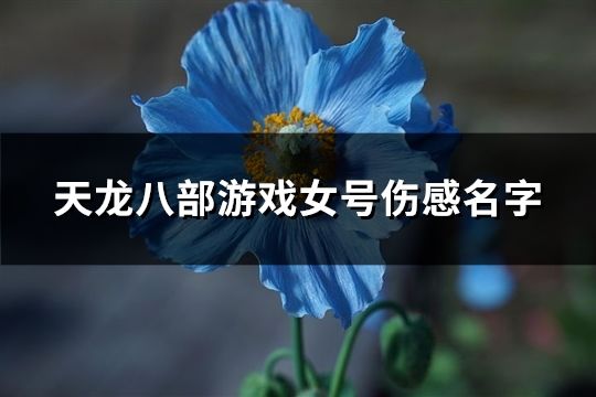 天龙八部游戏女号伤感名字(127个)