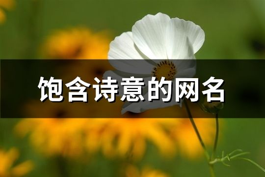 饱含诗意的网名(共69个)