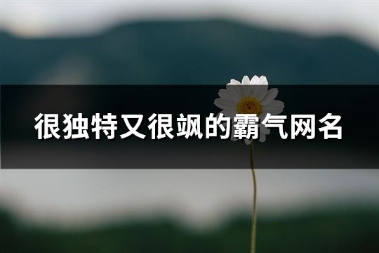 很独特又很飒的霸气网名(共72个)