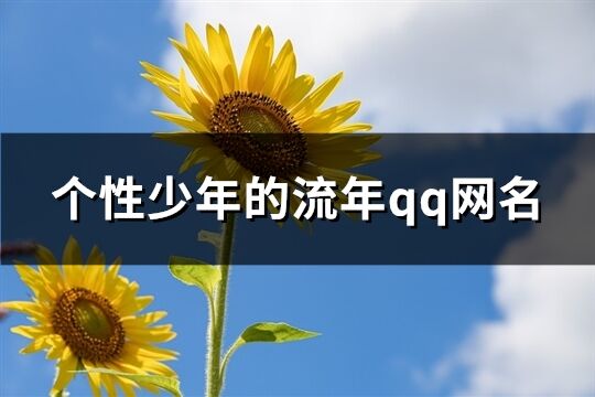 个性少年的流年qq网名(共180个)