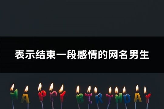 表示结束一段感情的网名男生(220个)